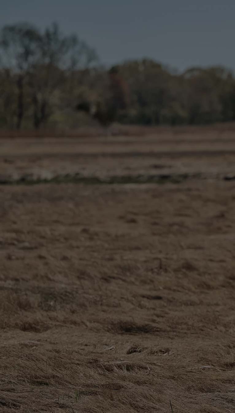 A woman sitting on a chair in a field wearing the Tabatha boot in brown.